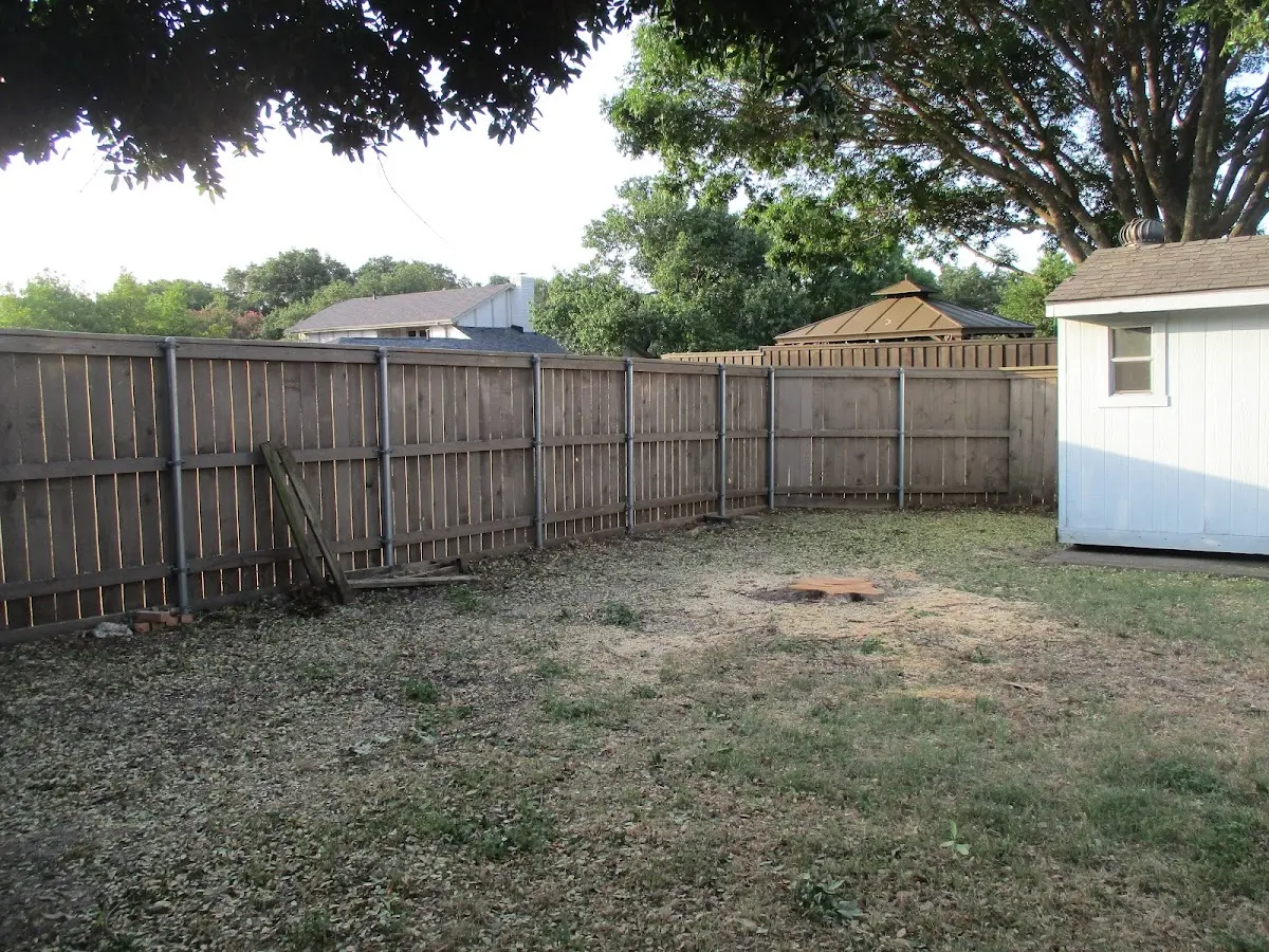 Cleared yard after professional tree removal in South Williamson