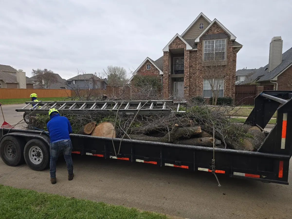 Expert Tree Pest Control with proper safety equipment in South Williamson